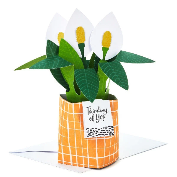 Hallmark Peace Lily Love You 3D Pop-Up Thinking Of You Card 1 Hallmark Peace Lily Love You 3D Pop-Up Thinking Of You Card
