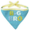 Hallmark Big Bro Pet Bandana