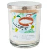 Hallmark Sea Salt Vanilla 3-Wick Jar Candle, 16 Oz.