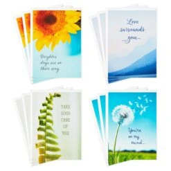 Hallmark Nature Images Assorted Thinking Of You Cards, Pack Of 12