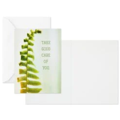 Hallmark Nature Images Assorted Thinking Of You Cards, Pack Of 12 -Hallmark Nature Images Thinking of You Cards Assortment 1EDX3861 04