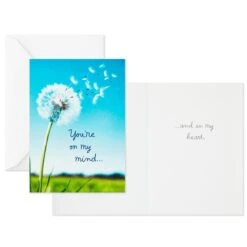 Hallmark Nature Images Assorted Thinking Of You Cards, Pack Of 12 -Hallmark Nature Images Thinking of You Cards Assortment 1EDX3861 05